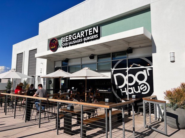 Dog Haus — Websearch photo