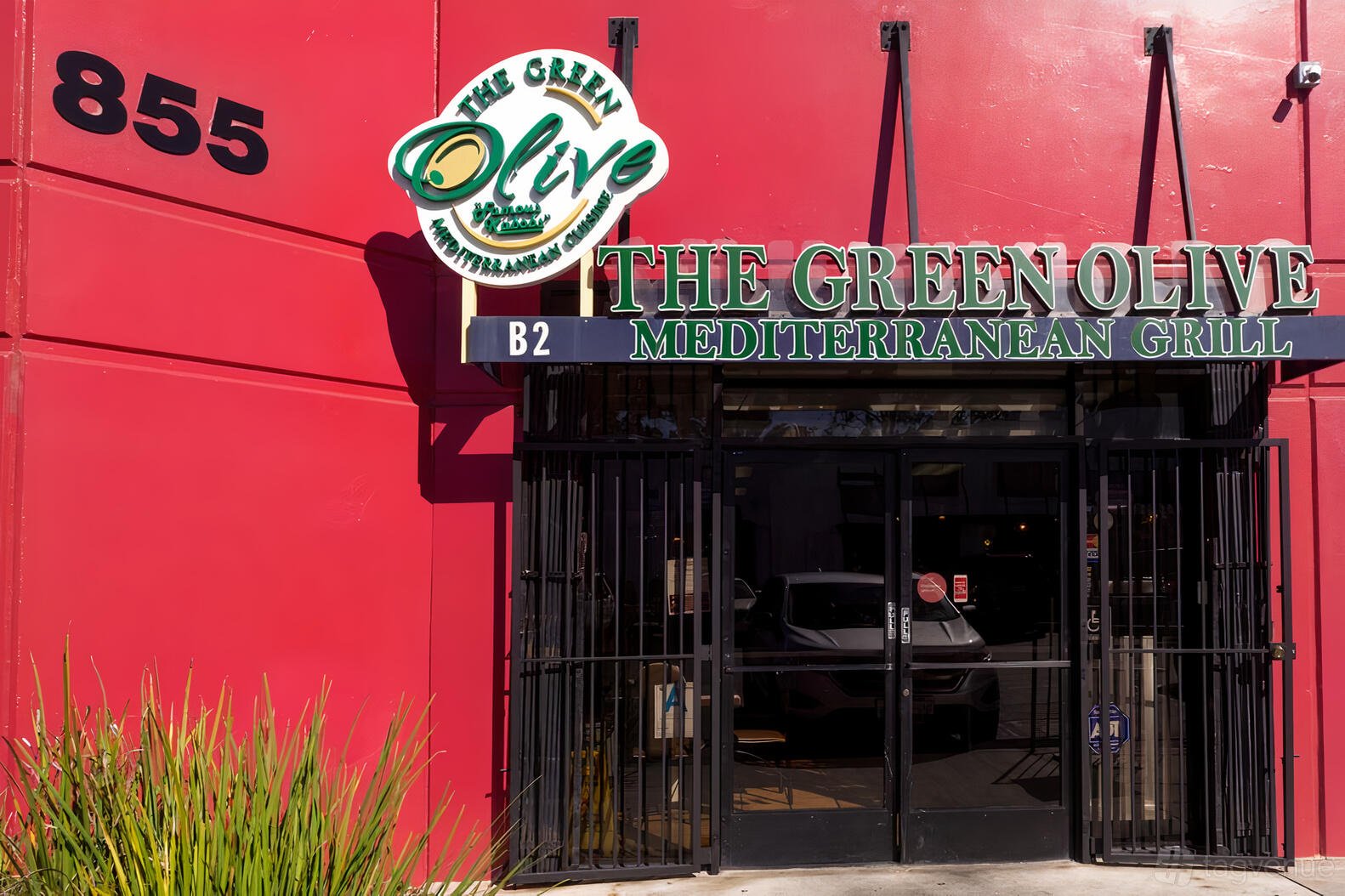 The Green Olive — Websearch photo