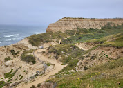 Torrey Pines State Natural Reserve