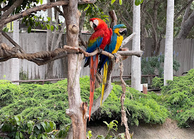Santa Barbara Zoo