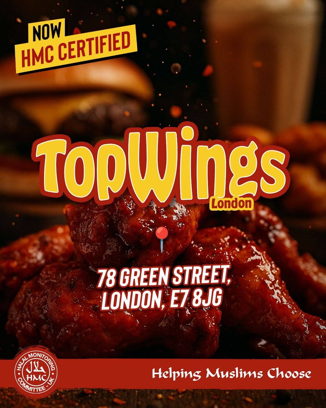 TopWings — Websearch photo