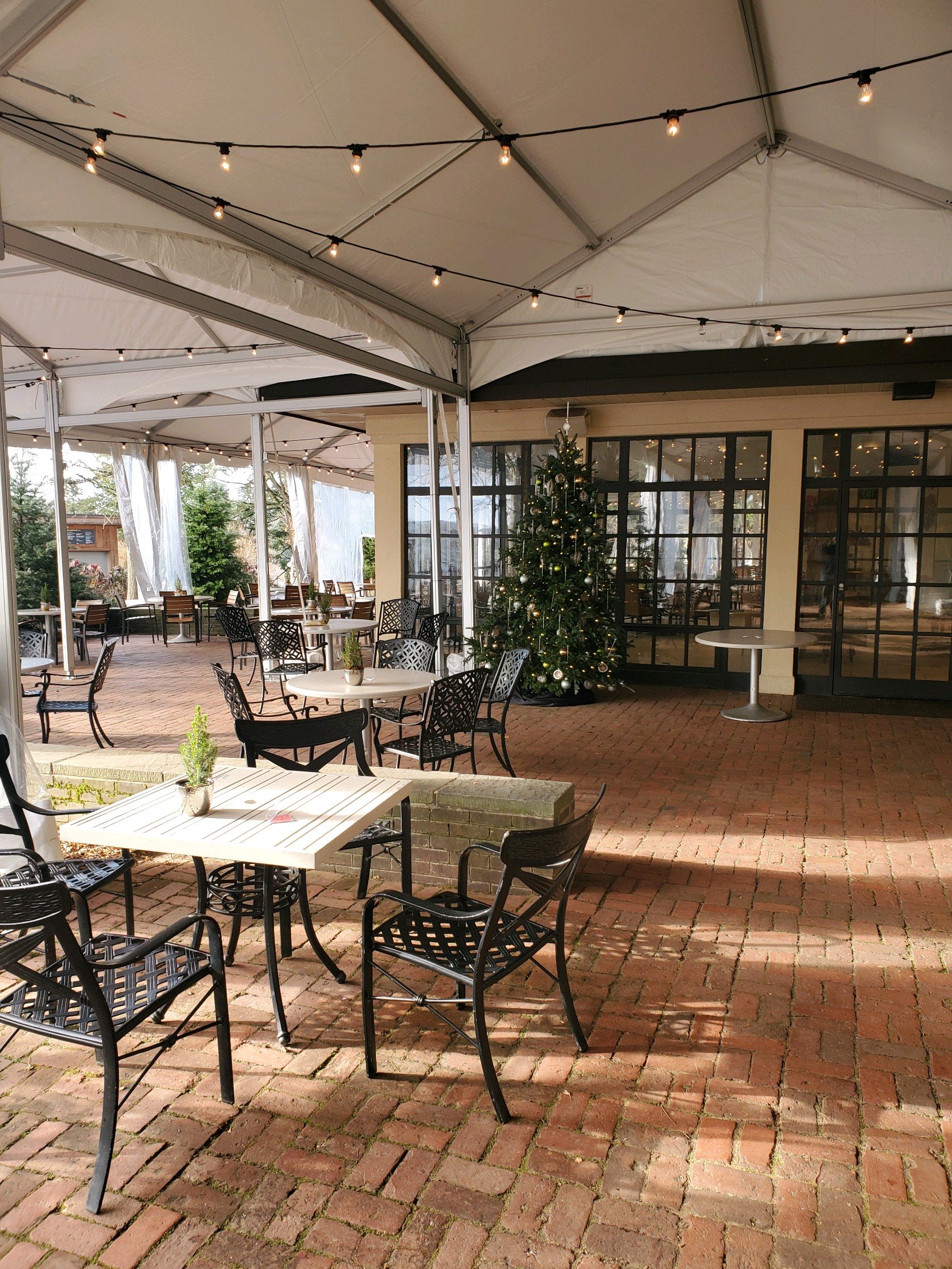 AMCC Café — Websearch photo