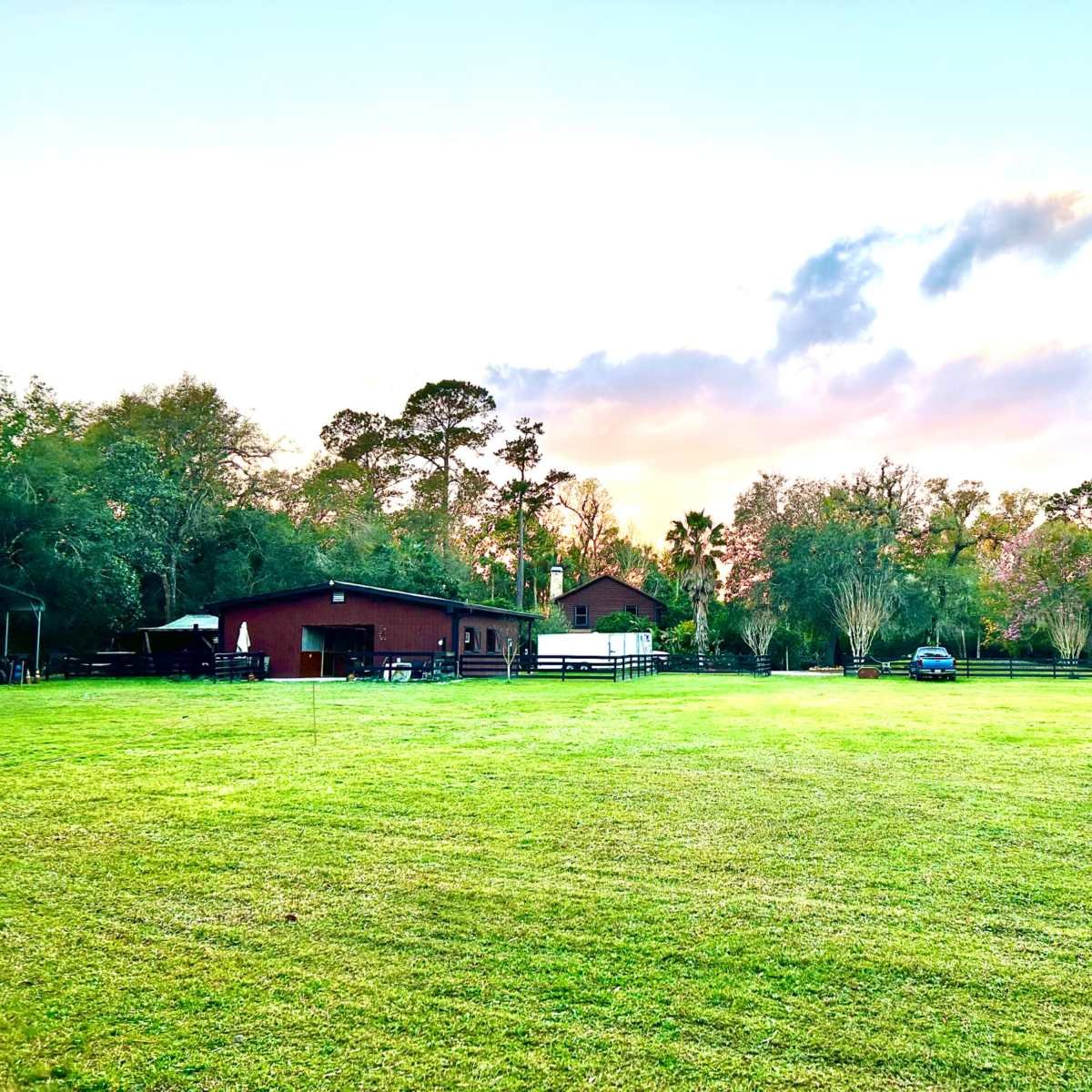 Sham Farms — Websearch photo