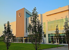 AMI American Muslim Institute