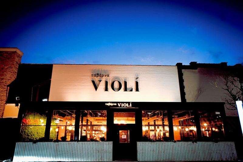 Violi — Websearch photo