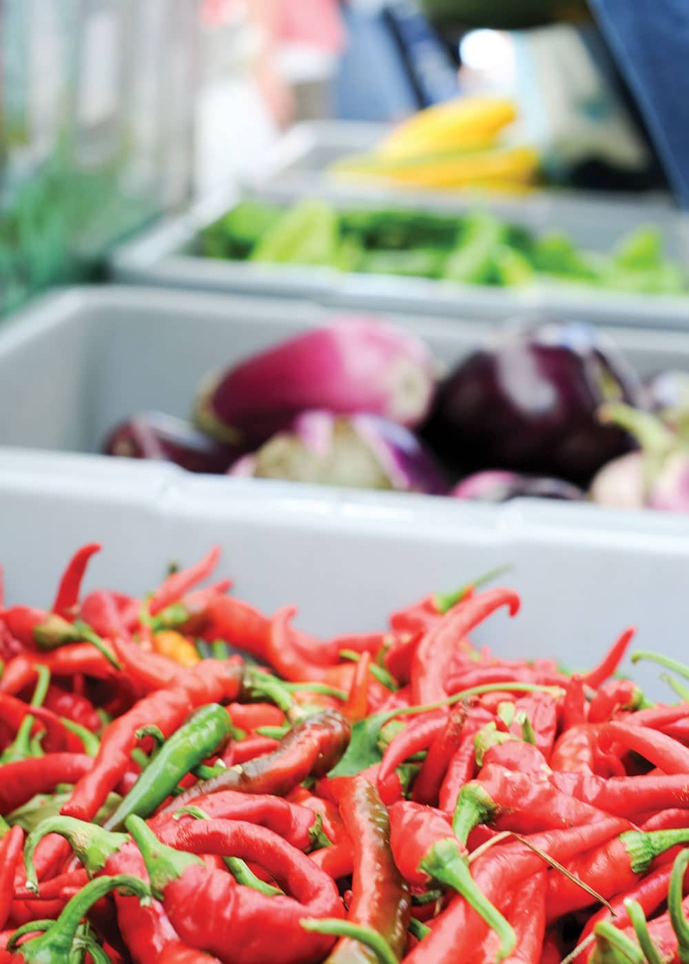 Peppers & Onions — Websearch photo